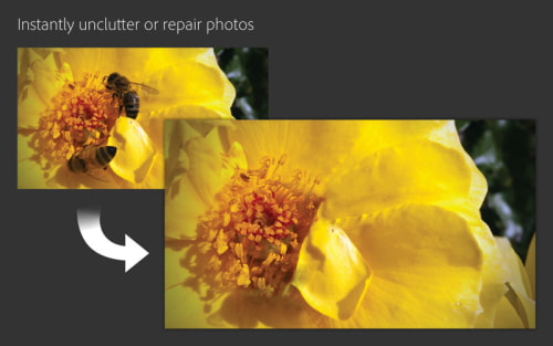 Adobe Releases Photoshop Elements 9 Editor in the Mac App Store