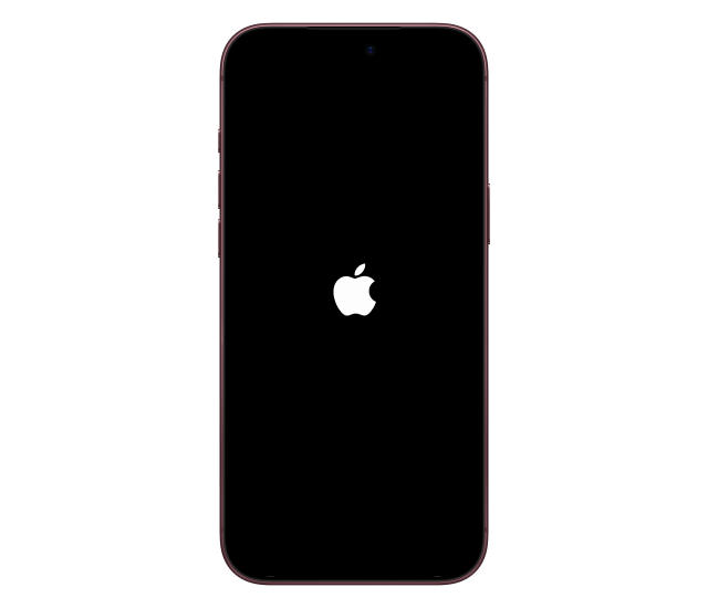 The Apple logo on a black screen as the iPhone restarts.