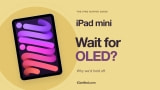 Should You Buy an iPad mini Now? Why We'd Wait for OLED Should You Buy an iPad mini Now? Why We'd Wait for OLED
