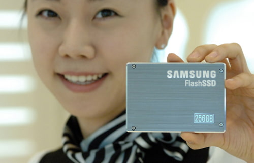 Samsung Develops Fast 256GB SSD Drive
