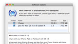 Apple Releases iTunes 10.2.1, Java Update 4