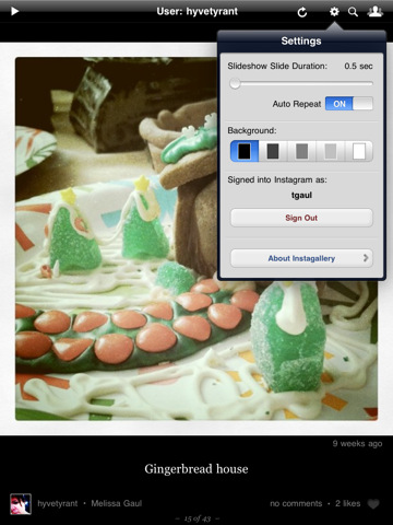 Instagallery Lets You Browse Instagram Photos on the iPad 