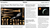 The New York Times Launches Digital Subscriptions