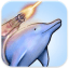 Laser Dolphin Released For iPhone And iPad