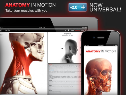 Anatomy In Motion Goes Universal