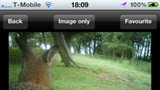 Instant Wild App Shows You Live Photographs of Animals Across the Globe