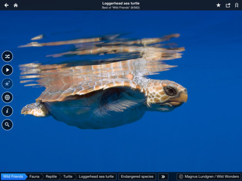 Fotopedia Wild Friends Arrives for iPhone, iPad