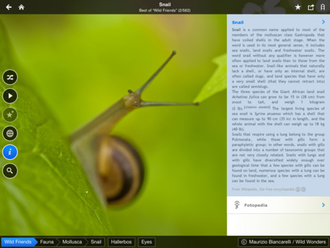 Fotopedia Wild Friends Arrives for iPhone, iPad