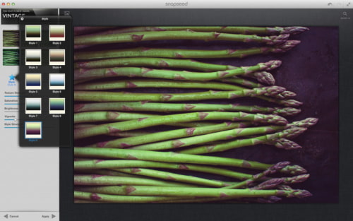 Snapseed Photo App is Released on the Mac App Store