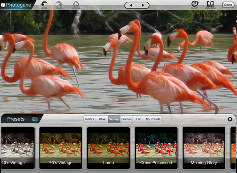 Photogene for iPad Gets New Editing Tools, Retina Display Support