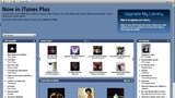 Song BMG to Offer DRM Free Music on iTunes?