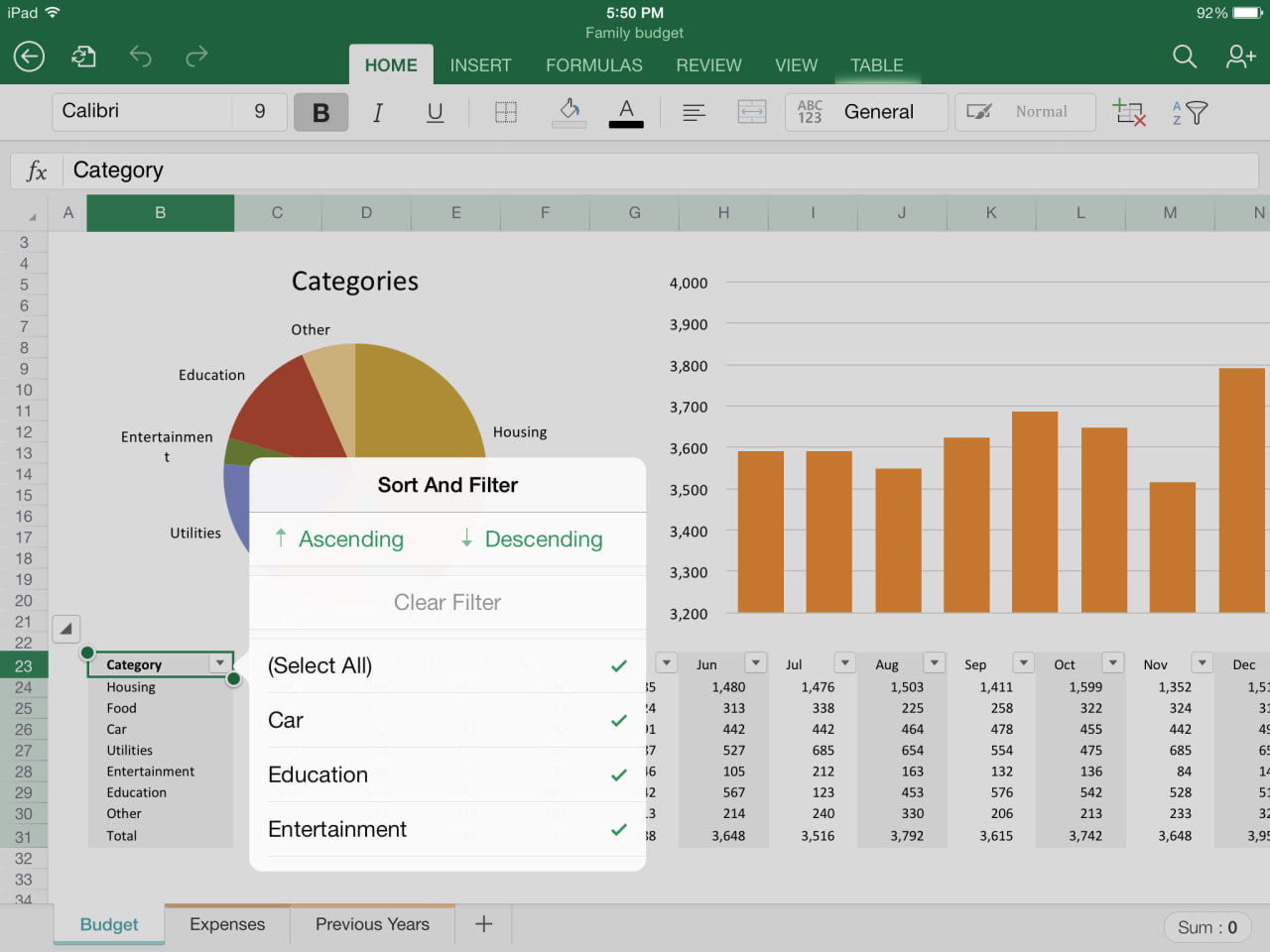 microsoft excel for ipad