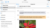 Apple Updates iTunes U With iPad Pro Support, Images in Posts, More