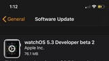 Apple Seeds watchOS 5.3 Beta 2 to Developers [Download]