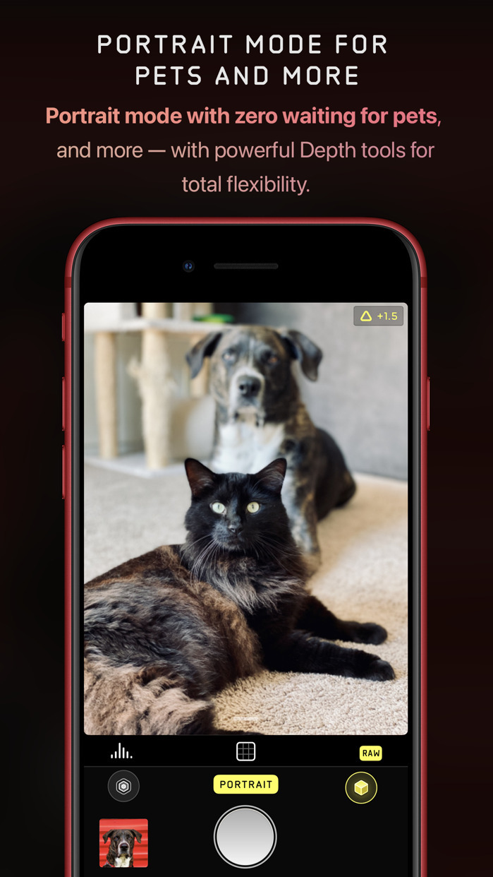 Halide Camera App Introduces &#039;Process Zero&#039; to Skip Standard iPhone Image Processing