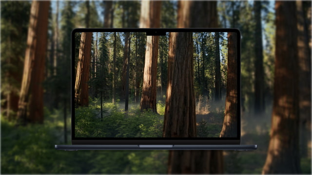 Apple Releases macOS Sequoia 15.0.1 [Download]