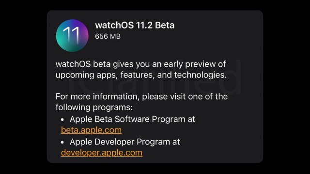 Apple Seeds watchOS 11.2 Beta to Developers [Download]