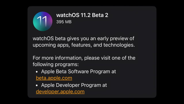 Apple Seeds watchOS 11.2 Beta 2 to Developers [Download]