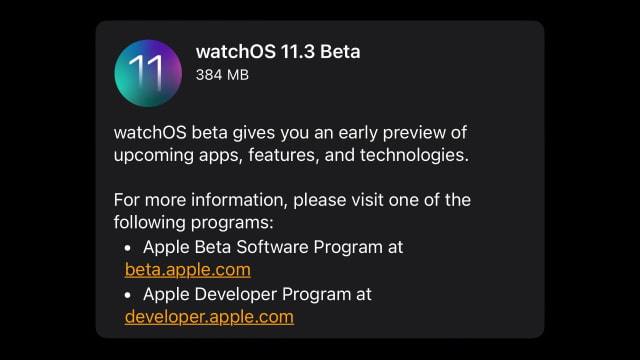 Apple Seeds watchOS 11.3 Beta to Developers [Download]