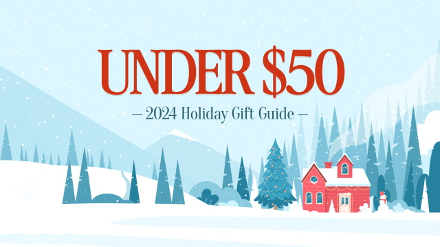 Holiday Gift Guide 2024: Under $50