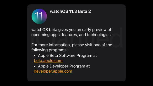 Apple Seeds watchOS 11.3 Beta 2 to Developers [Download]