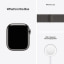 Apple Watch Series 7 (Cellular, 41mm, Graphite Stainless Steel Case, Graphite Milanese Loop)